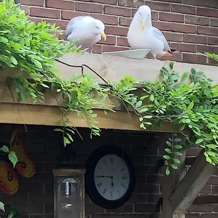 Zomerhuis Vlak Bij Zee Holiday home